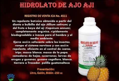 Ofertas en Mercados datria.io